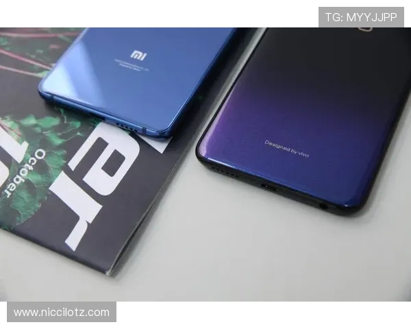 贝博app体育电竞：体育电竞爱好者必知的平台功能特色与用户体验优化方案