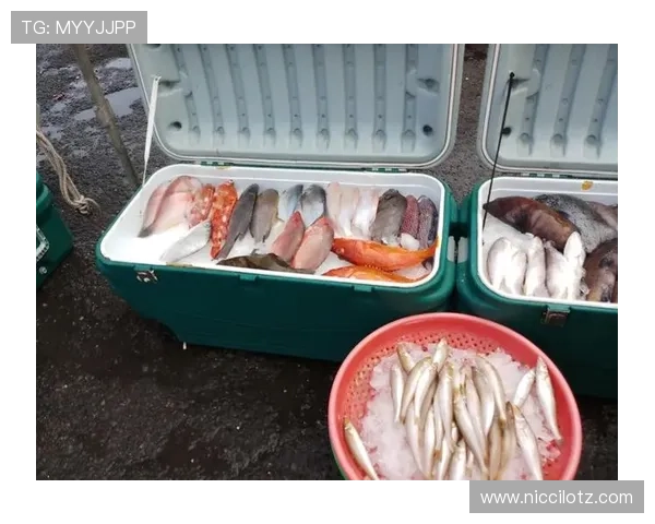 解决用户常见问题的详细指南包括ku游体育app的安全性、稳定性及账号安全保障